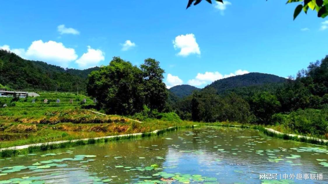 抖音业务自助下单平台在线低价：在线下单服务新选择经济实惠体验升级_抖音上热门代涨